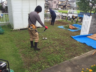 除草作業